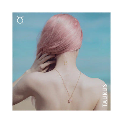 Bijoux Indiscrets Horoscope Kit Taurus