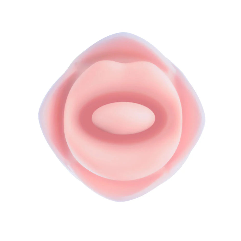 Blush Collection Kissing Rose Pink